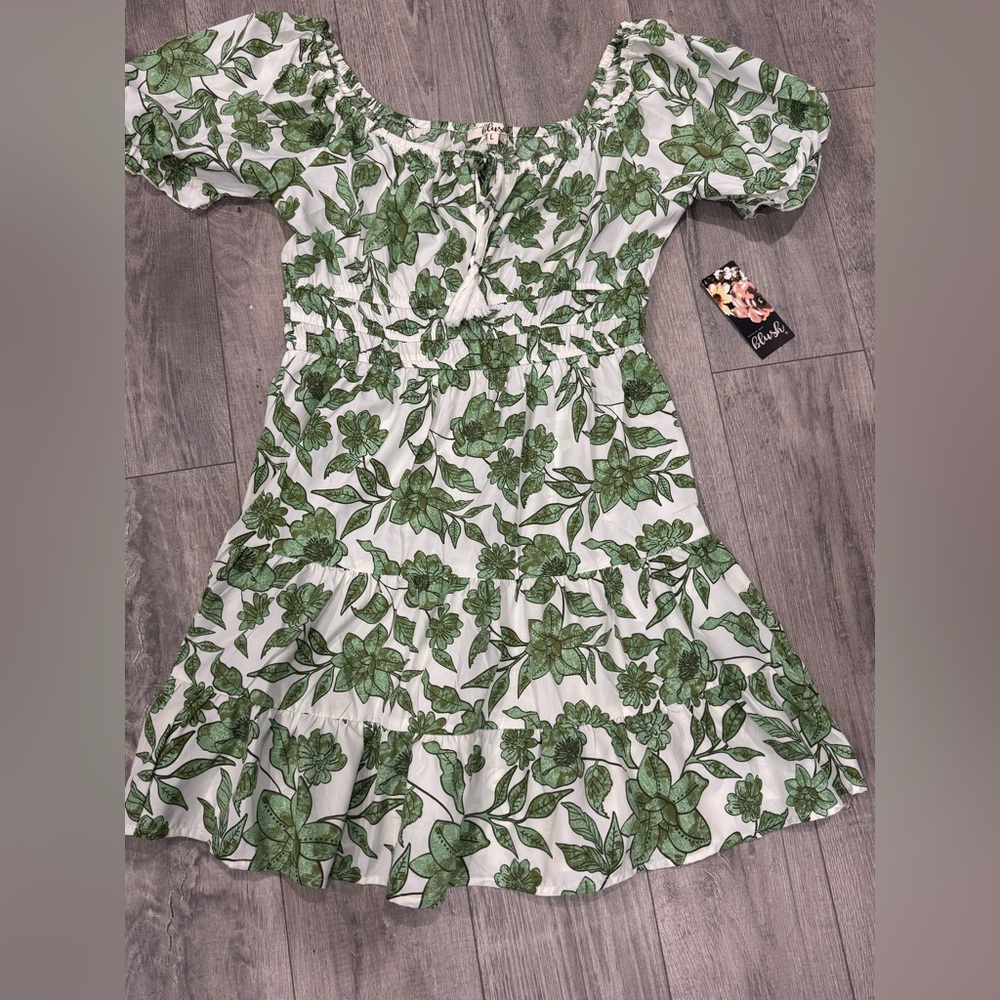 Blush Green Floral Mini Dress